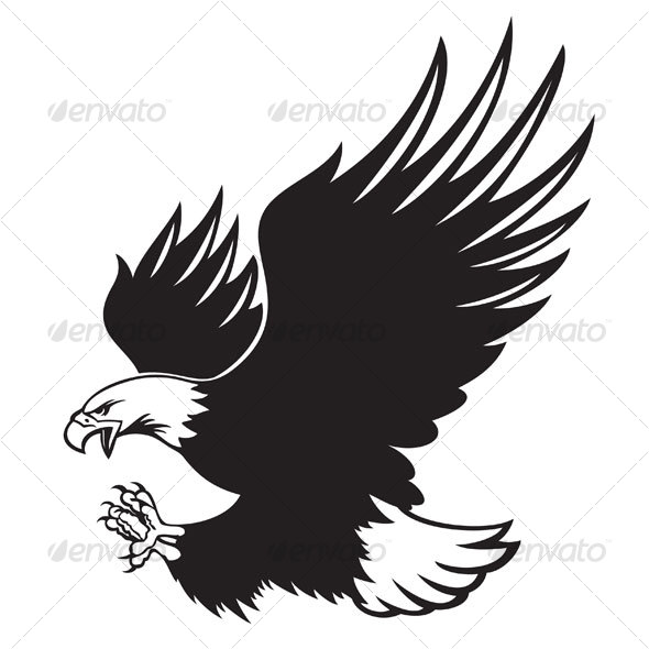 590x590 Bald Eagle By Namistudio Graphicriver