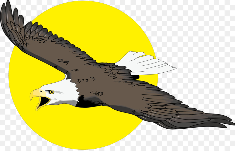 900x580 Bald Eagle Free Content Clip Art