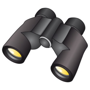 300x300 Binoculars Vector