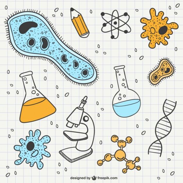 626x626 Science And Biology Scribbles Vector Free Download