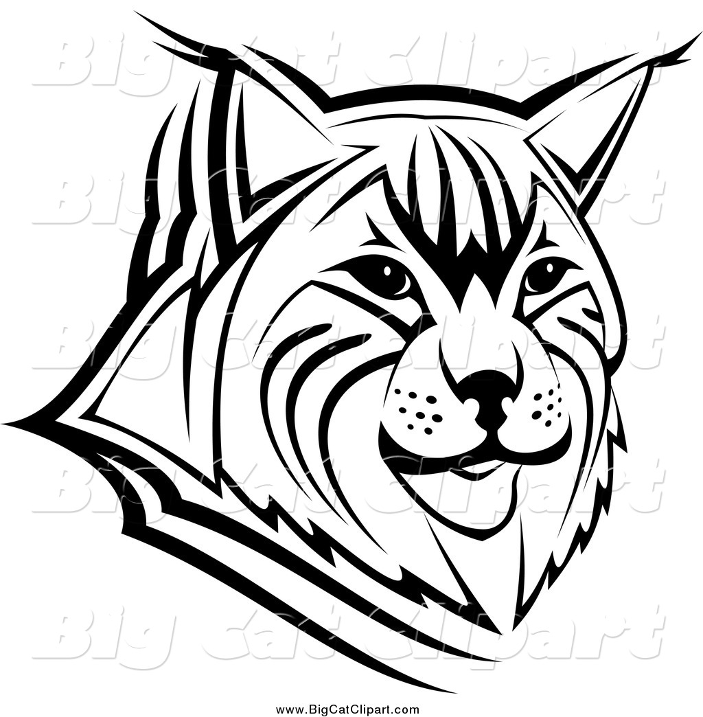 1024x1044 Big Cat Vector Clipart Of A Black And White Bobcat Face By Vector