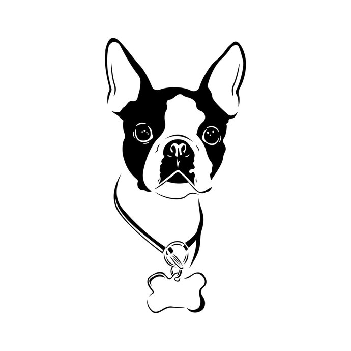 690x690 Boston Terrier Dog Graphics Design Svg Dxf By Vectordesign On Zibbet