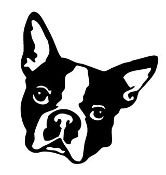166x175 Boston Terrier Clipart Black And White