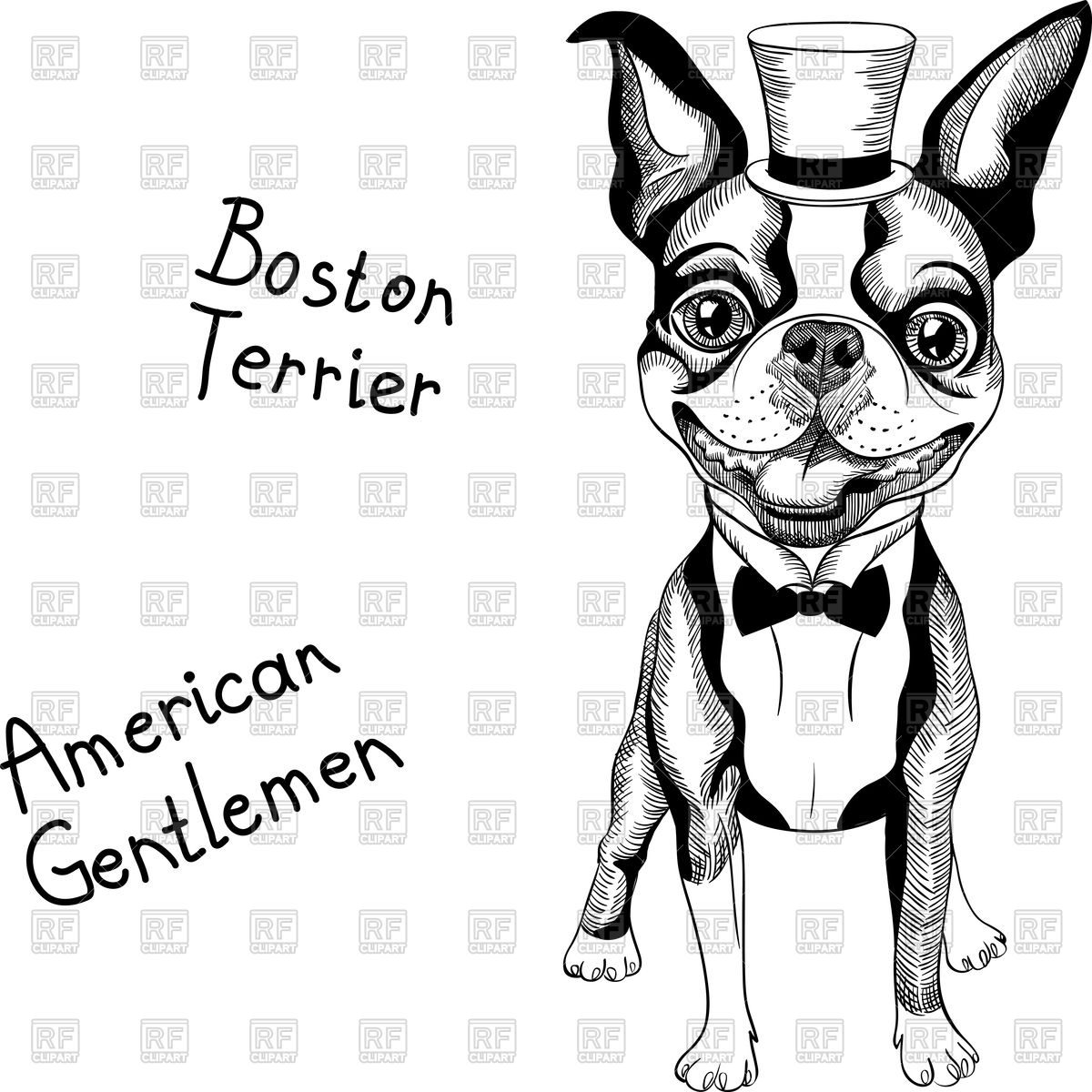 1200x1200 Hipster Dog Boston Terrier In Top Hat And Bow Tie Vector Image