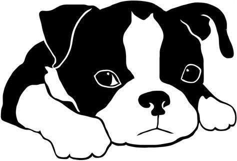 474x323 Boston Terrier Vector