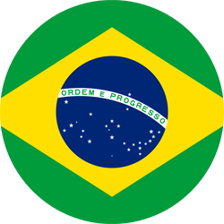 250x250 Brazil Flag Vector