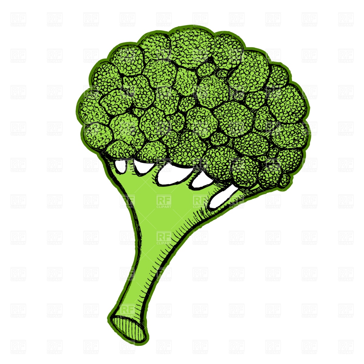 1200x1200 Broccoli Vector Image Vector Artwork Of Food And Beverages