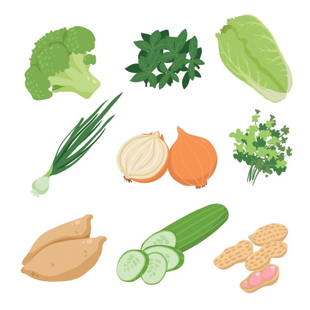 626x626 Broccoli Vectors, Photos And Psd Files Free Download