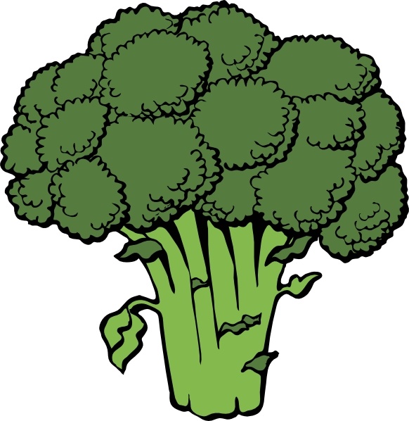 582x598 Broccoli Clip Art Free Vector In Open Office Drawing Svg ( .svg