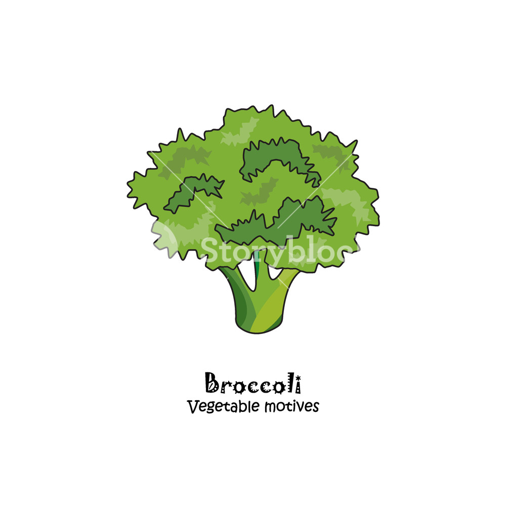 1000x1000 Color Vector Illustration. Broccoli Icon Royalty Free Stock Image
