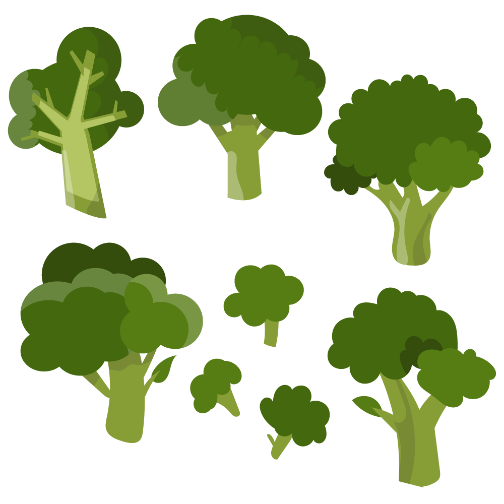 1000x1000 Fresh Broccoli Vector Set