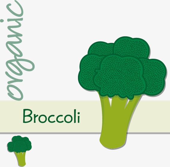 567x560 Hand Painted Cartoon Broccoli Label, Cartoon Vector, Label Vector