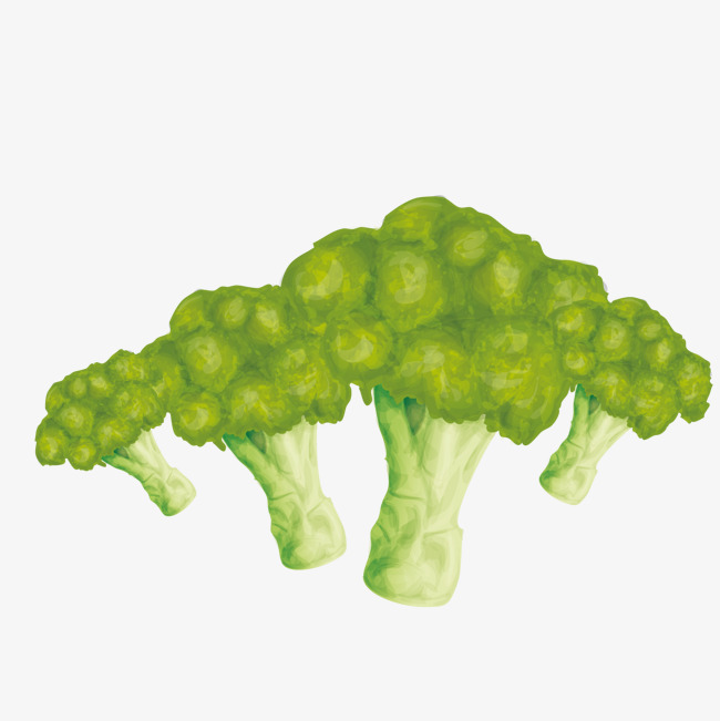 650x651 Vector Broccoli, Vegetables, Hand Painted Vegetables, Decorate Png