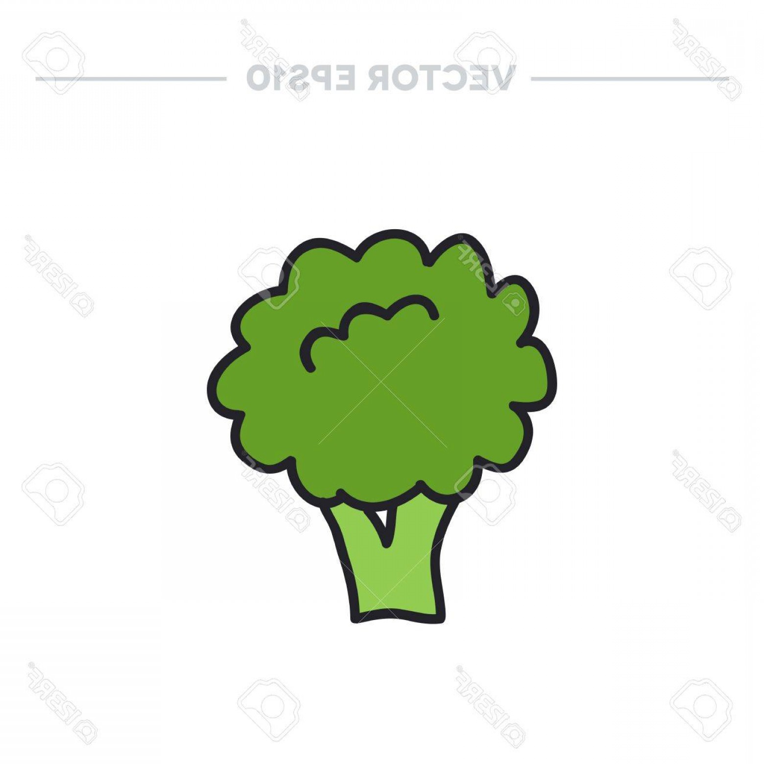 1560x1560 Broccoli Clipart Vector Arenawp