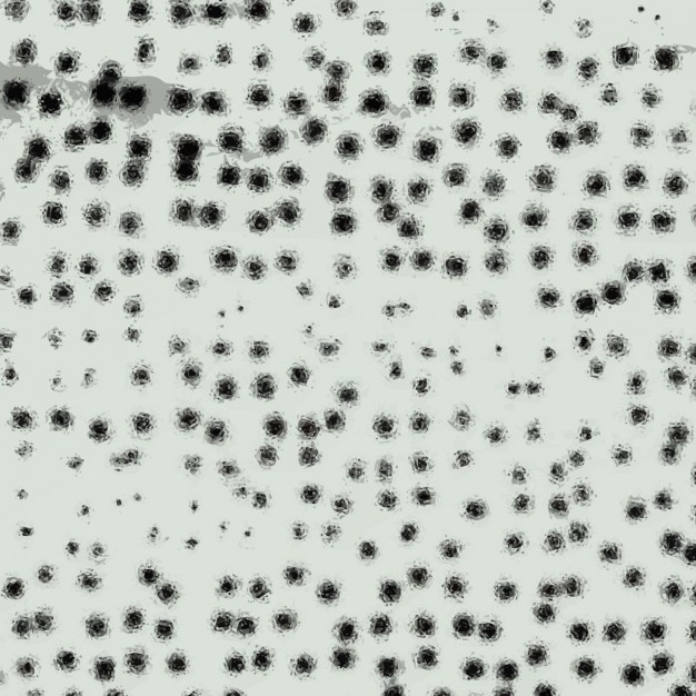 626x626 Bullet Holes Vectors, Photos And Psd Files Free Download