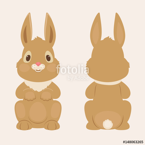 500x500 Bunnyrabbit Front And Back View Stock Image And Royalty Free