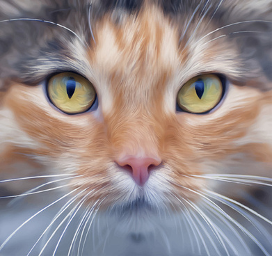 391x368 Cat Face Vector Free Vector Download (2,674 Free Vector) For