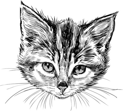408x368 Cat Head Free Vector Download (2,400 Free Vector) For Commercial