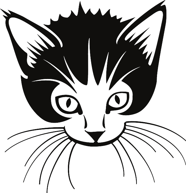 616x640 Free Vector Graphic Cat, Head, Cute, Animal, Ears