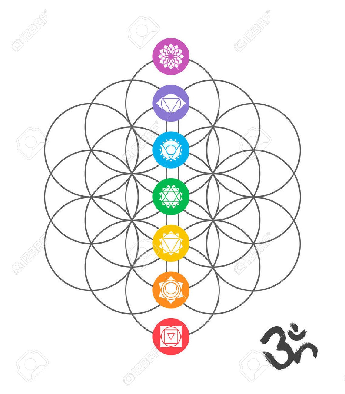 Vector Chakra Symbols