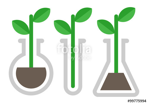 500x354 Chemistry Icon. Plant In Vitro Stock Image And Royalty Free