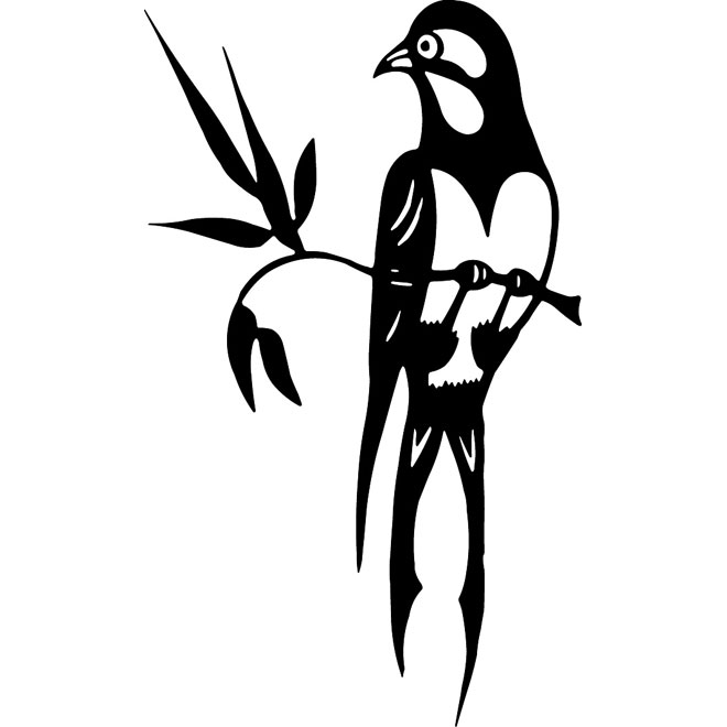 660x660 Swallow Bird Vector Clipart