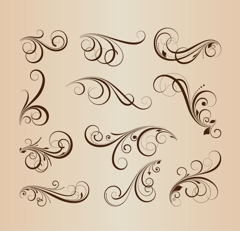 794x763 Vector Collection Of Floral Design Elements Free Vector Graphics