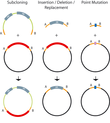 459x512 Target Vector Construction