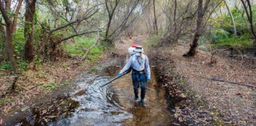 525x258 Vector Control