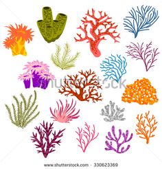 Coral Vector at GetDrawings | Free download