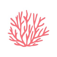 240x240 Coral Photos, Royalty Free Images, Graphics, Vectors Amp Videos