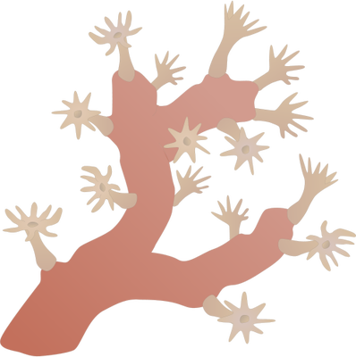 398x400 Coral Vector (Colourshape) (89) Submarine Dreamscape