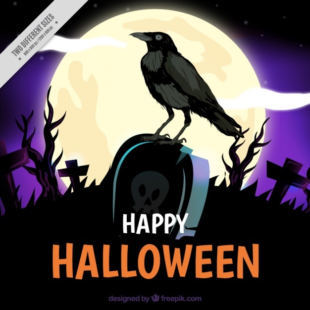 626x626 Crow Vectors, Photos And Psd Files Free Download