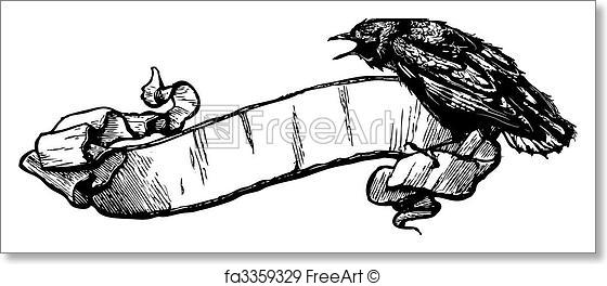 560x264 Free Art Print Of Vector Crow Banner Illustration. Great For