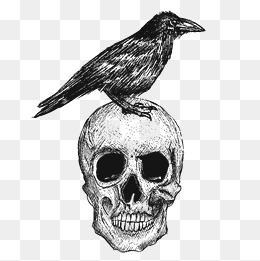 260x261 Animals Crow Png, Vectors, Psd, And Clipart For Free Download