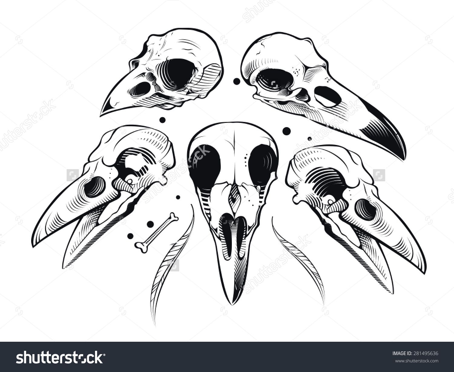 1500x1229 Vector Vector Crow Skull