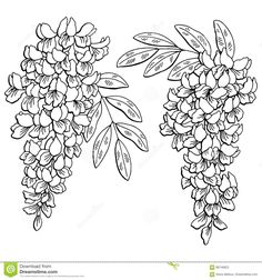 236x252 Descubra Vine Leaves, Black Painting Vectores De Stock Y Millones