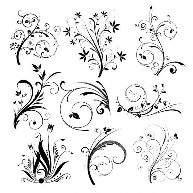 626x626 Floral Vectors, Photos And Psd Files Free Download
