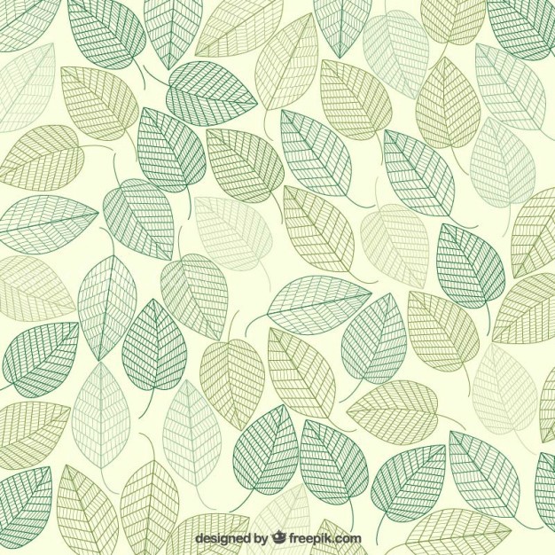 626x626 Vector ] Green Leaves Background Free Download