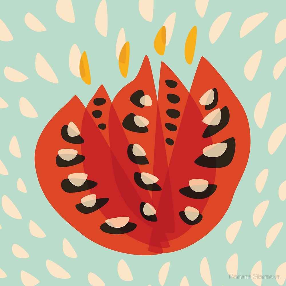 1000x1000 Abstract Tulip Floral Vector Illustration