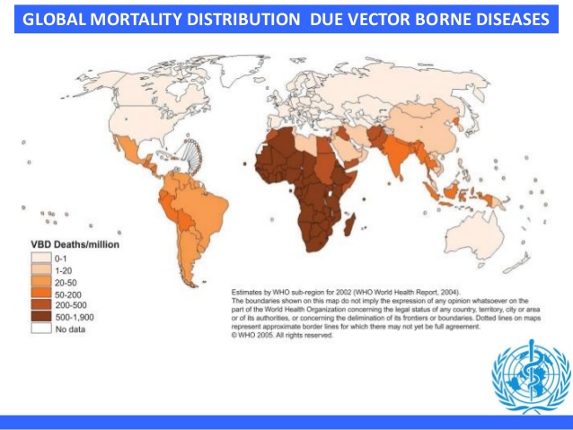 638x479 One Health Perspective And Vector Borne Diseases