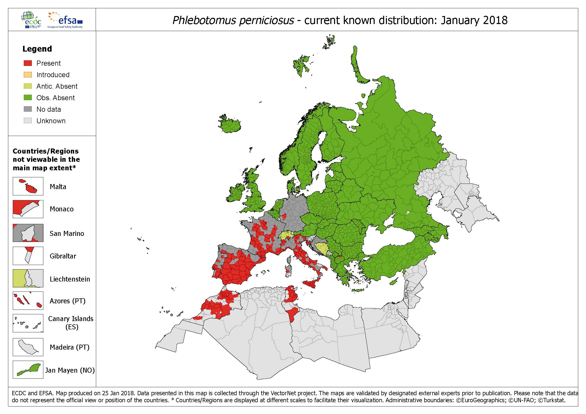 2340x1653 Phlebotomus Perniciosus