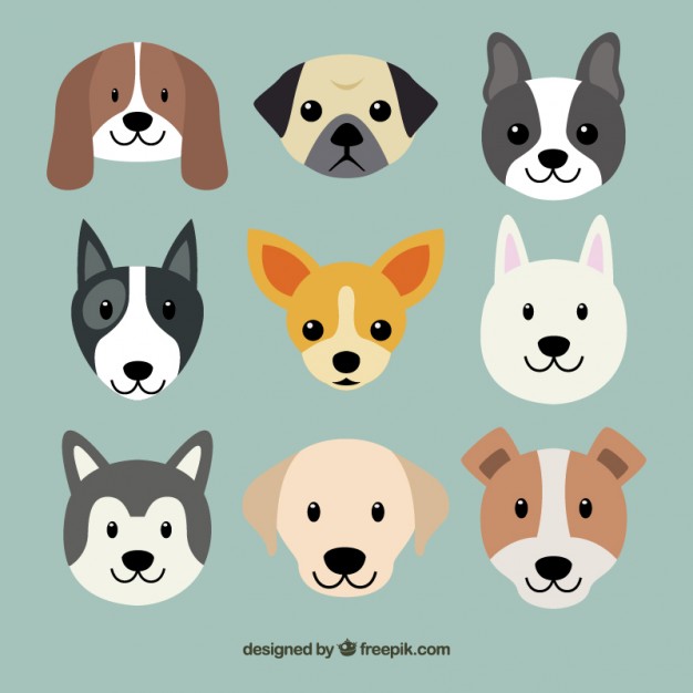 626x626 Dog Vector Art
