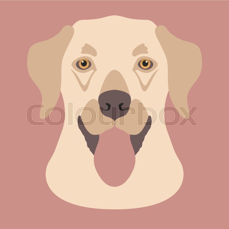 800x800 Dog Face Vector Illustration Style Flat Front Side Stock Vector