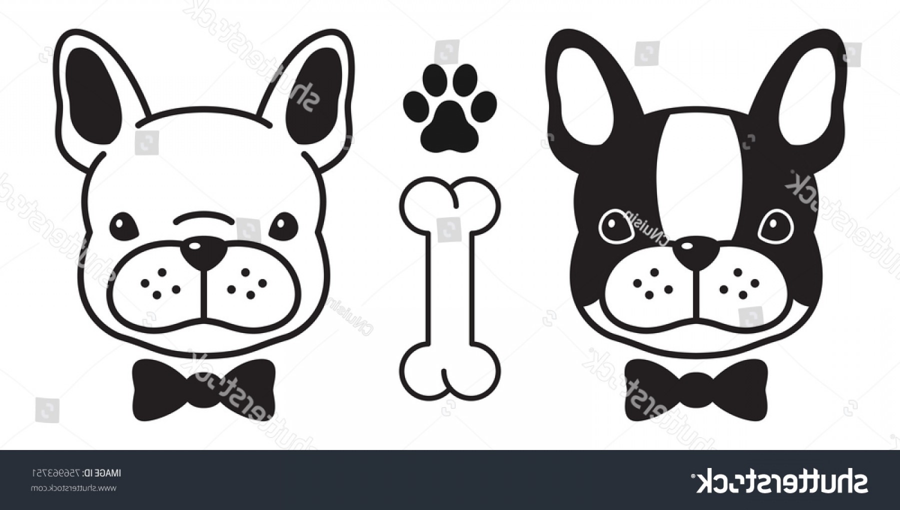 1800x1020 Paws Pet Face Vector Shopatcloth