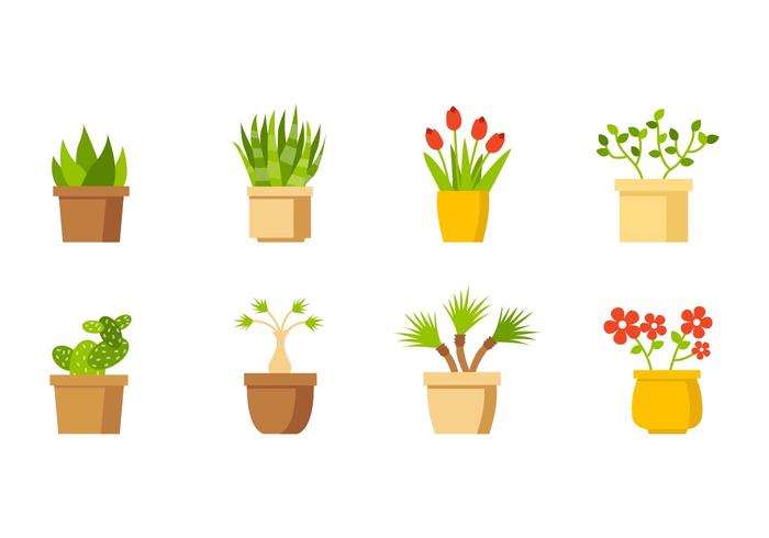 700x490 House Plant Collection Vector