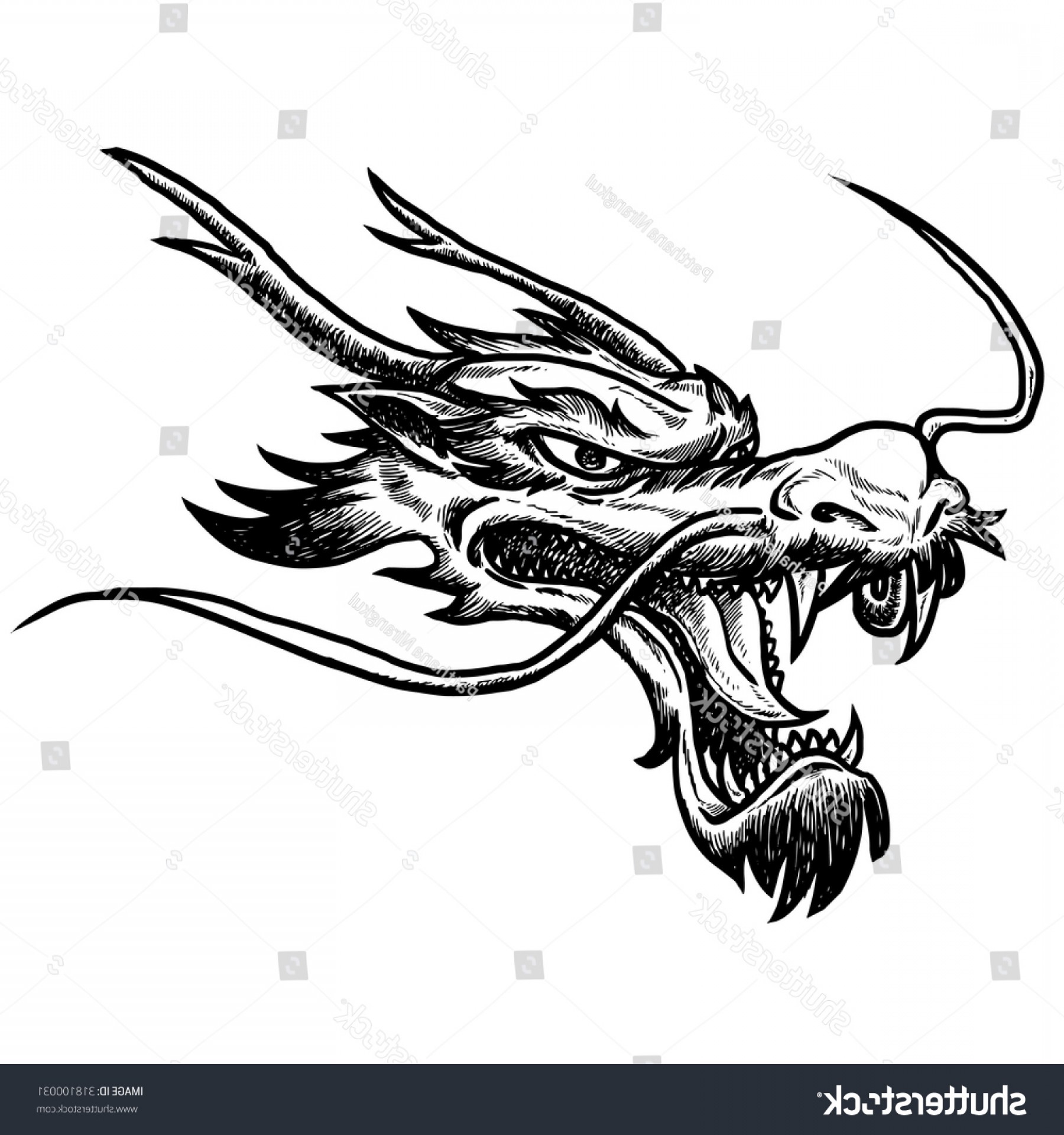 1800x1920 Chinese Dragon Head Hand Draw Monochrome Sohadacouri