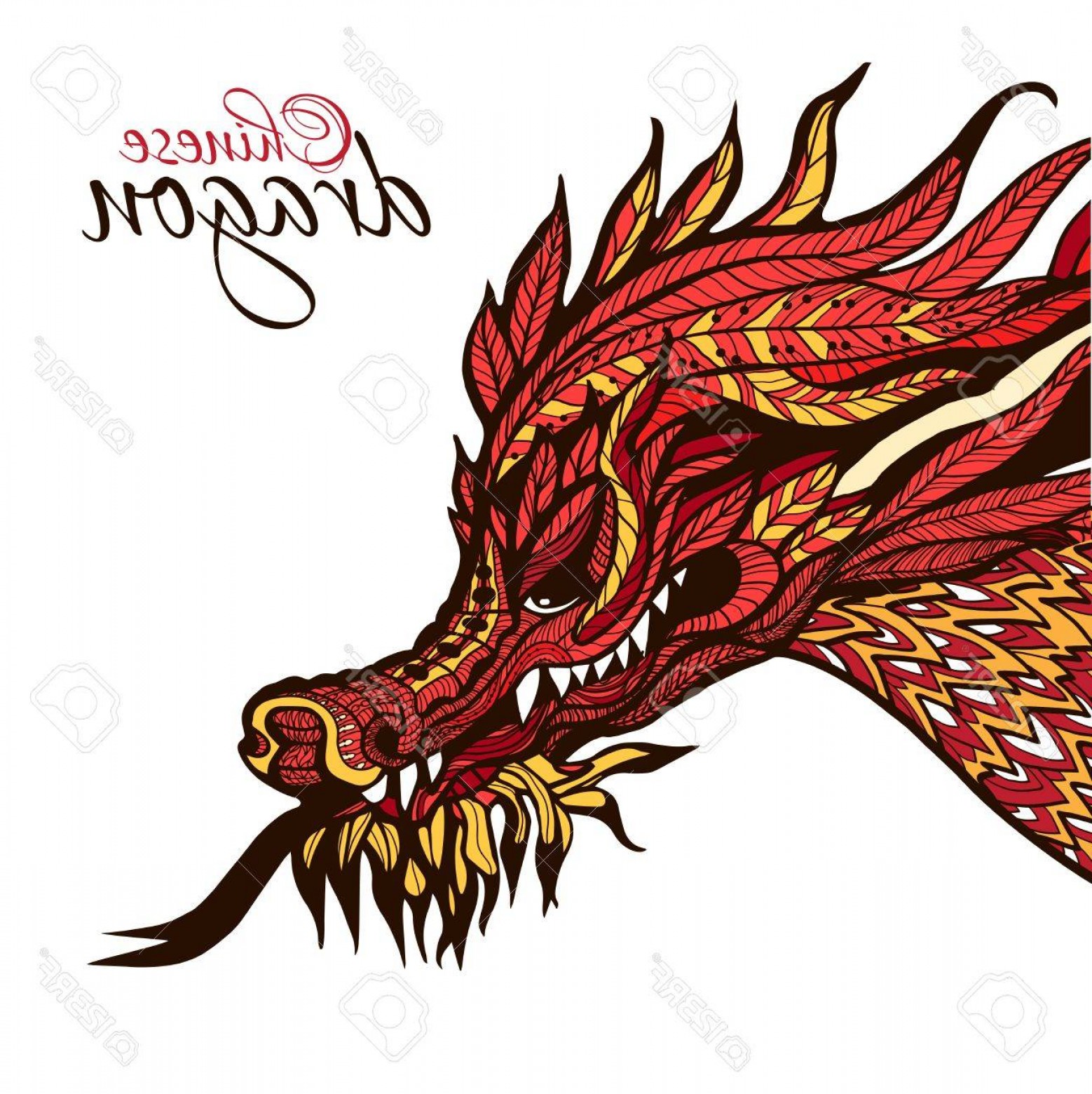 1558x1560 Photostock Vector Hand Drawn Chinese Dragon Head With Colored