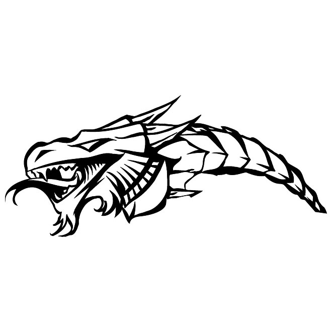 660x660 Dragon Head Vector Image