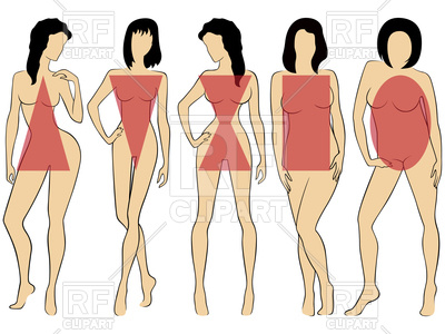 400x300 Set Of Types Of Women Figures Vector Image Vector Artwork Of